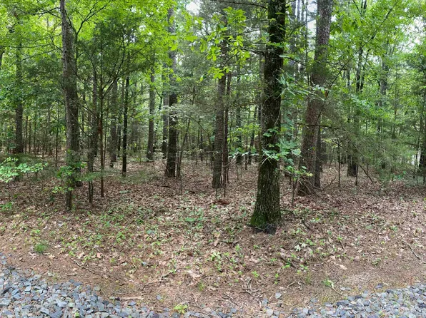 93 Tannenbaum Rd, Drasco, AR 72530