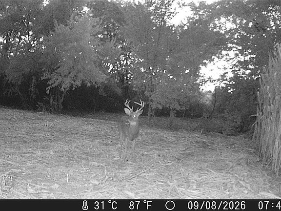 4th image of Walnut Hill Ln