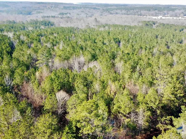 0 County Road 3 #13, Roanoke, AL 36274