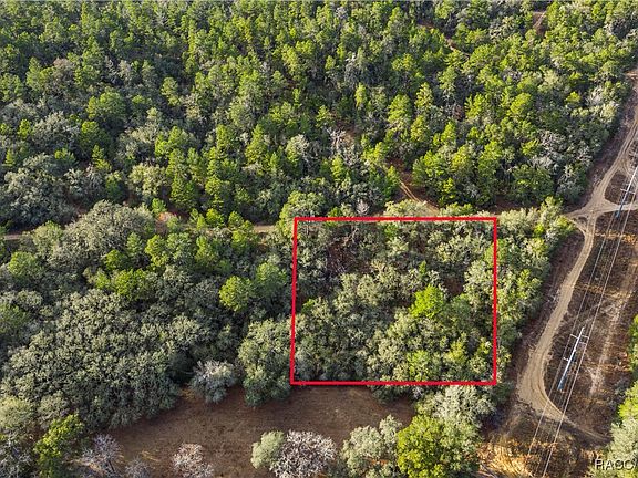 2nd image of 115 S Crestview Ave