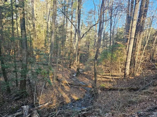 162 Nexus Dr #1620, Ellijay, GA 30540