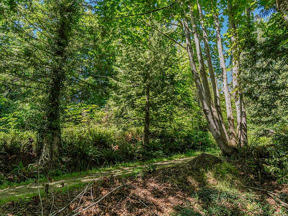 4th image of 12882 Stone Rd