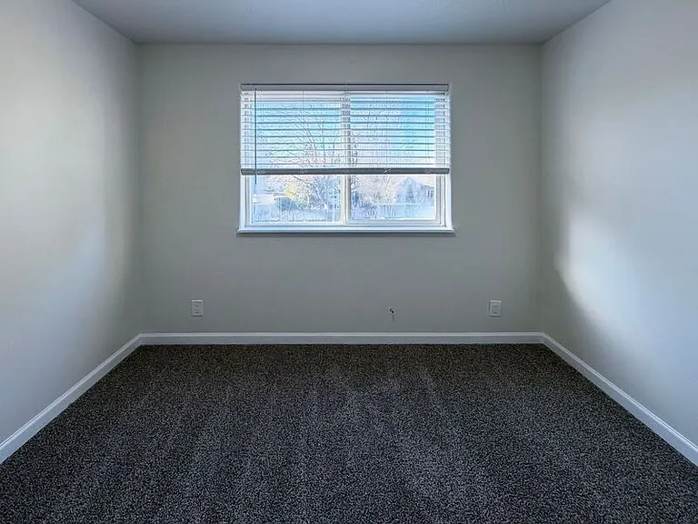 2447 Roosevelt Blvd #3 — Photo 15