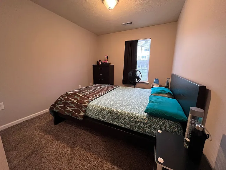 239 Raven Run — Photo 21