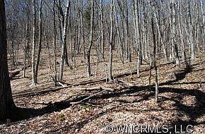 3rd image of C 2 Spruce Patch #C2