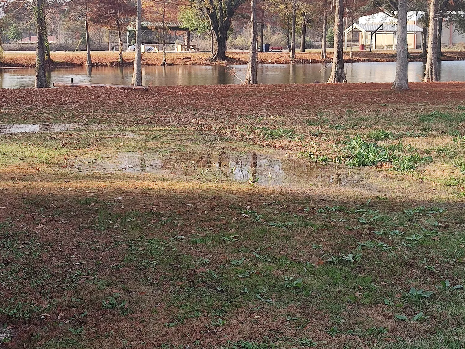 3 bed, 1180 sqft, $1,000 — Photo 4