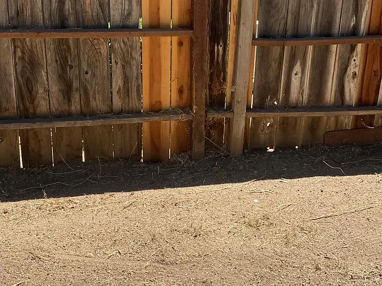 126 Adobe Ct — Photo 21