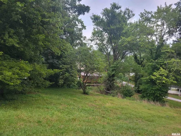 J St, Jonesboro, IL 62952