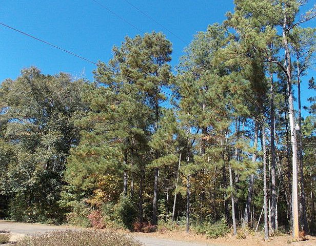 2nd image of 0 Arrowhead Dr