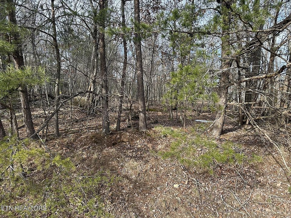 2nd image of 121 Motthaven Dr Lot 113