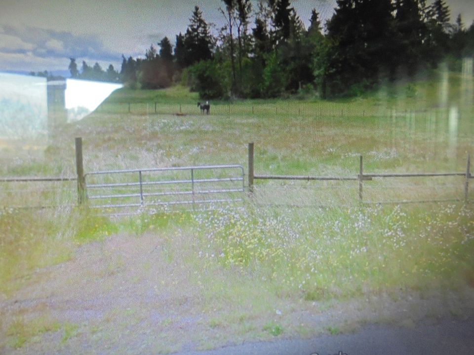 1st image of 14313 SE 93rd Ave