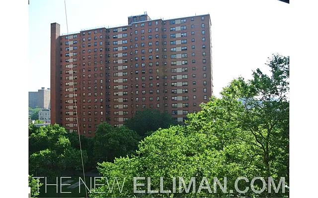 Sold by Douglas Elliman | media 17