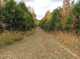 Ames Rd, Hickory Valley, TN 38042