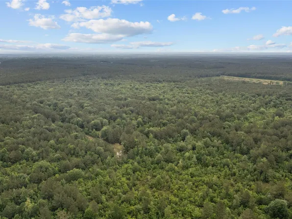 44319 Shepe Rd, Shepherd, TX 77371