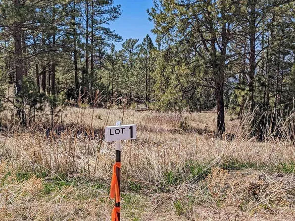 Battle Mountain Rd, Hot Springs, SD 57747