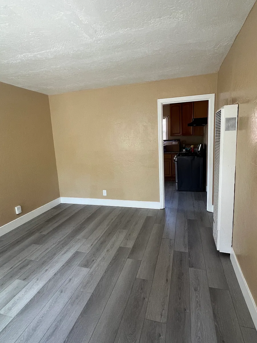 Entrance to the Apartment and Living Room area - 292 Ramona St #3