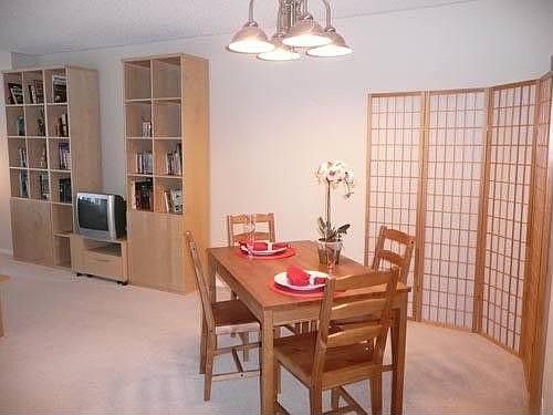 3rd image of 801 S Plymouth Ct APT 514