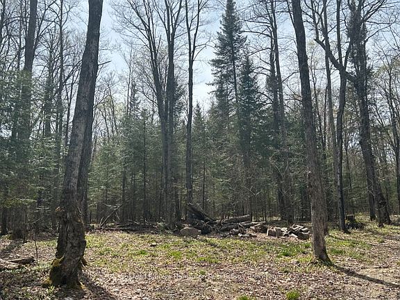 5th image of 0 Ely Side Rd