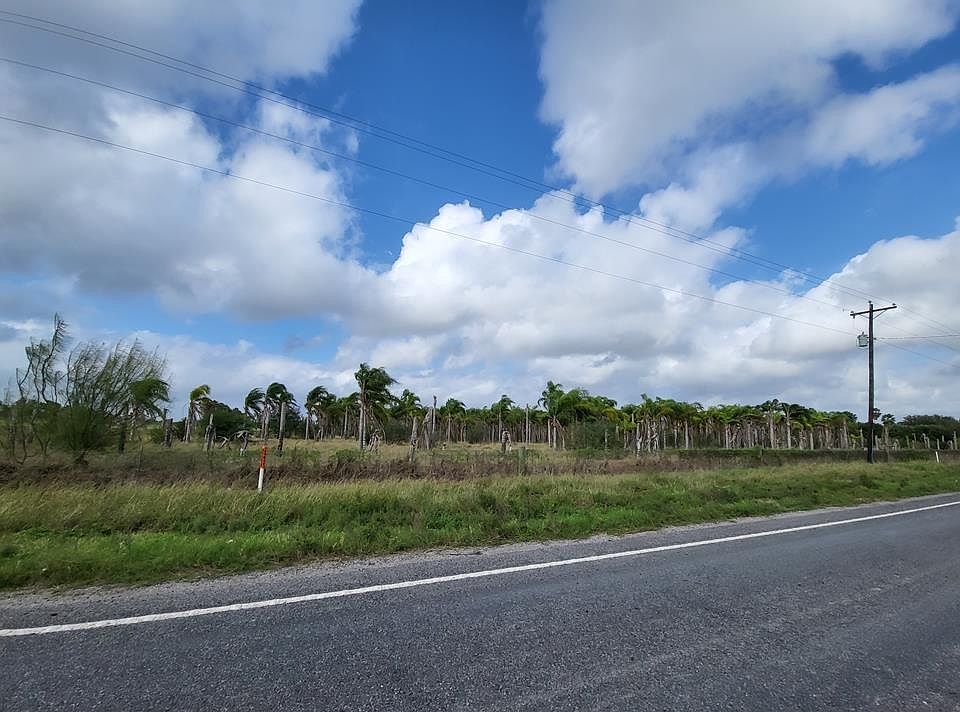 1st image of Fm 803