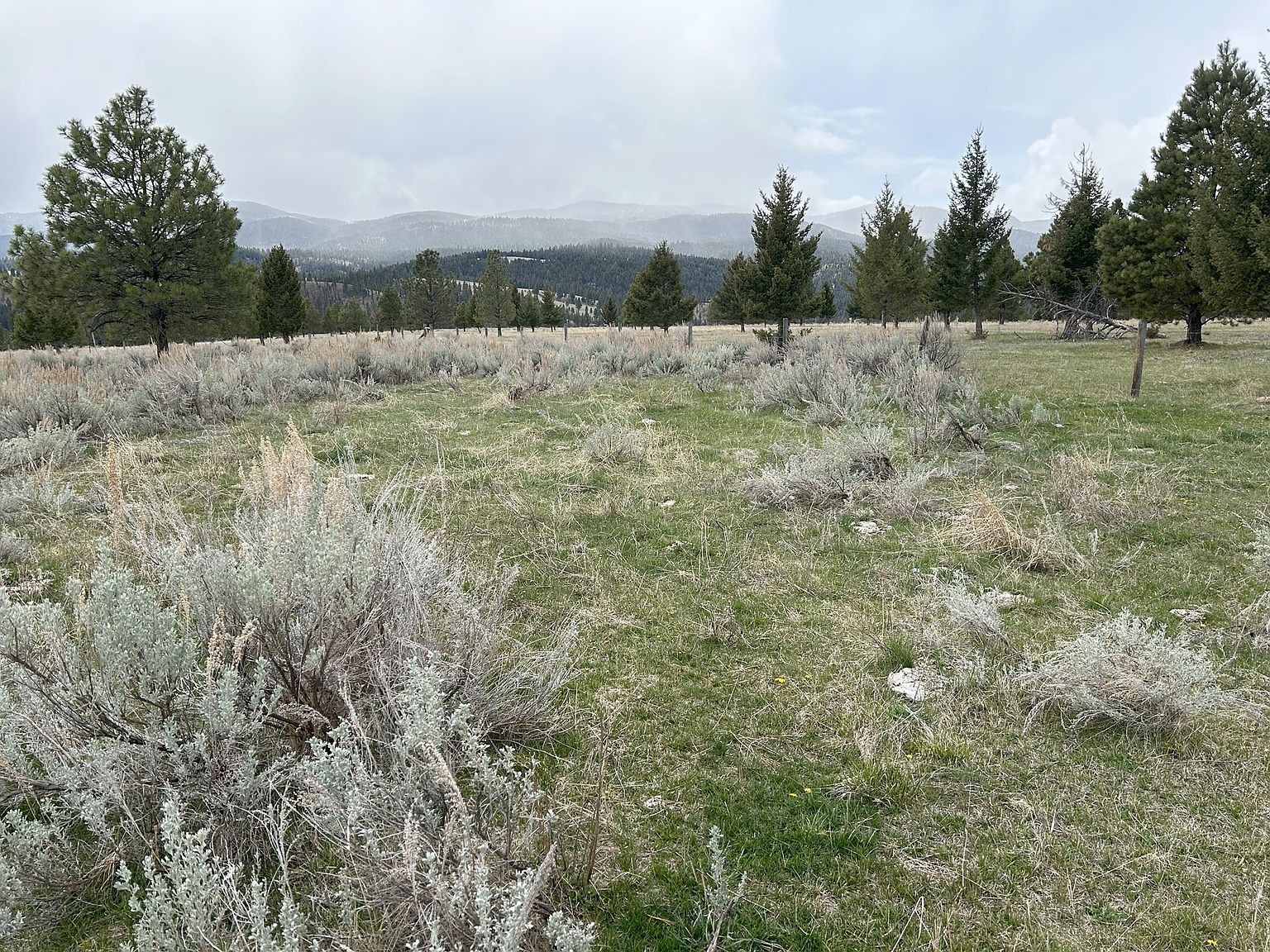 1A Home Again Ln, Helmville, MT 59843 MLS 30025979 Zillow