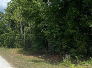 Sooty Tern Ave LOT 2, Brooksville, FL 34614