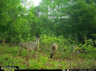 0 Smith Rd #559, Pulaski, MS 39152