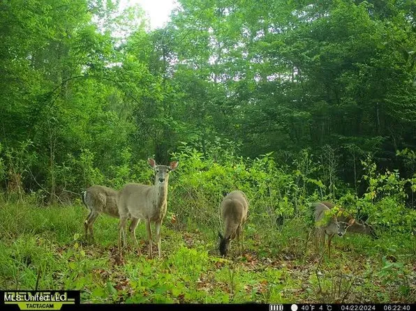 0 Smith Rd #559, Pulaski, MS 39152