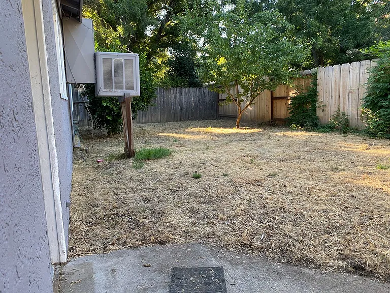 locust — Photo 26