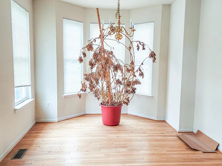 5003 Edenvale Ct — Photo 3