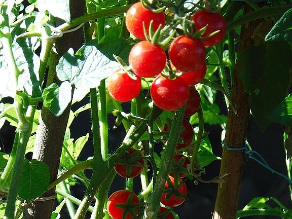 As good as they get!