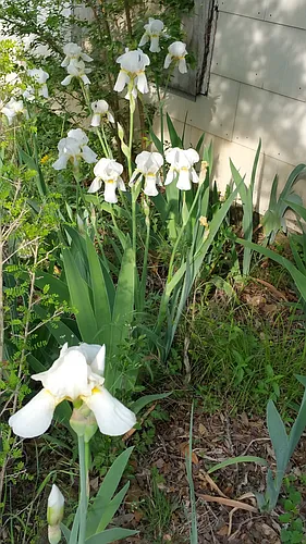 (Undisclosed Address) Photo 1