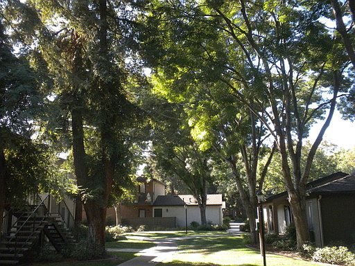 3rd image of 5145 E Lane Ave