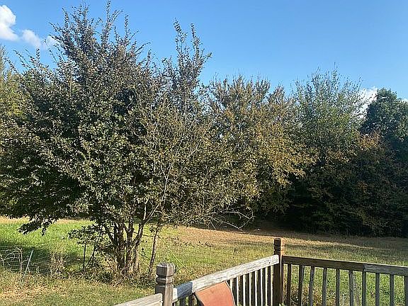 4th image of 3269 W Caddo Dr