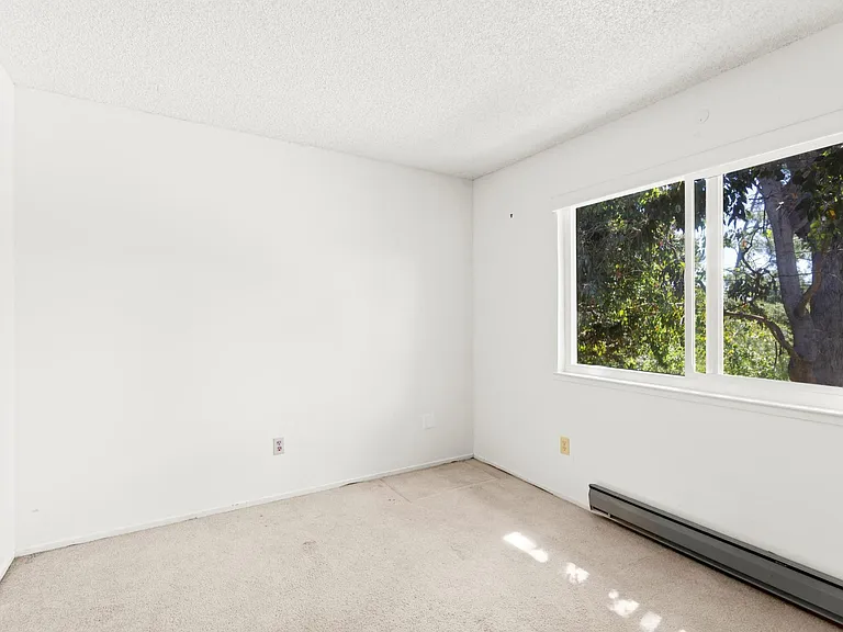 103 Nelson Way — Photo 7
