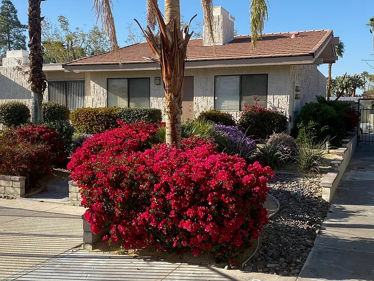 Desert Dorado Villas — Photo 33