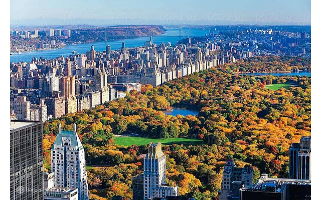 Rented by Douglas Elliman | media 32