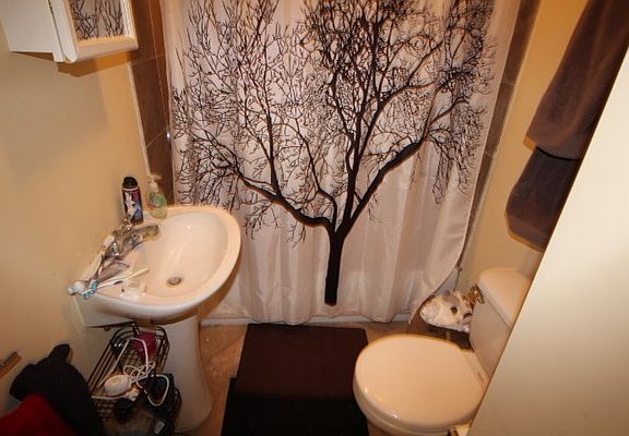 5th image of 731 Parker St APT 3
