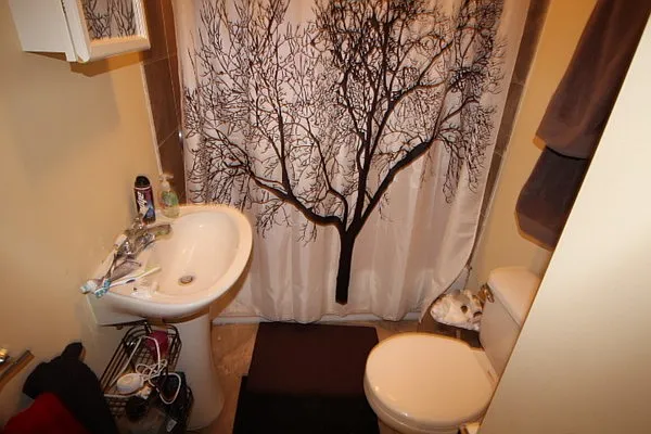731 Parker St #3 — Photo 5