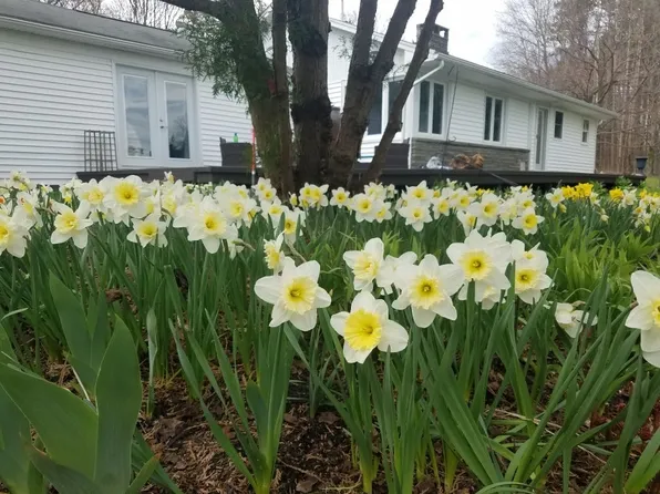 235 Billsboro Rd, Geneva, NY 14456