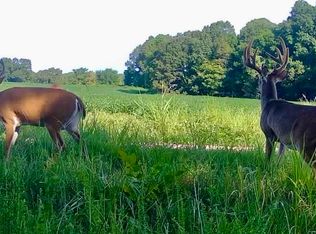 Burnett Rd, Williston, TN 38076