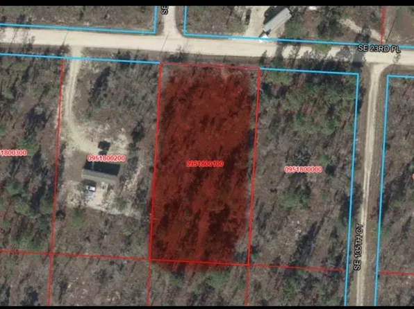 SE 23RD PLACE LOT 2, MORRISTON, FL 32668