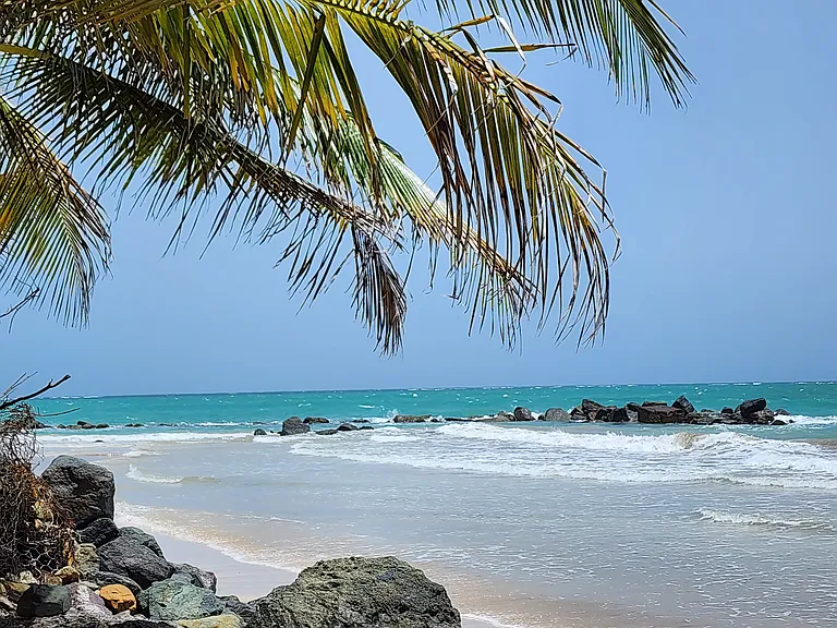 3715 Isla Verde #4C — Photo 13