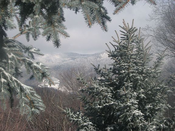 Winter View