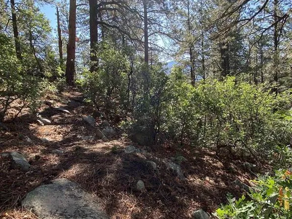 74 Harman Ave, Pagosa Springs, CO 81147