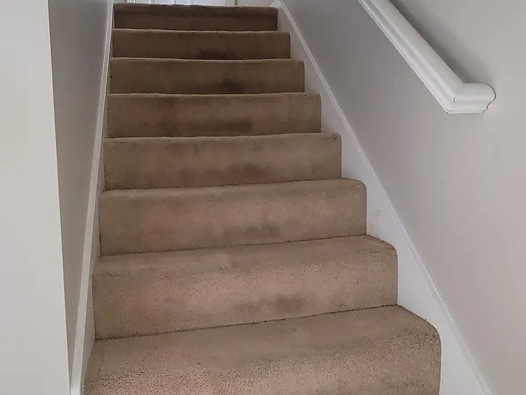 9 Blossom Ln — Photo 21
