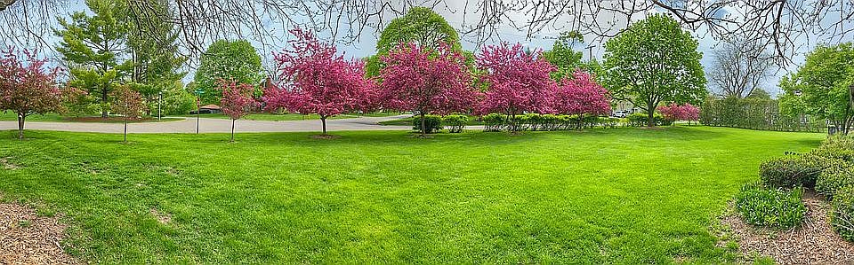 Spring Side Yard