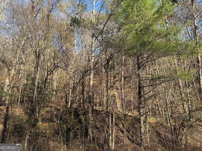 0 Whitepath Rd, Ellijay, GA, 30540