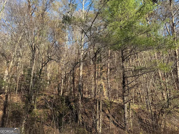 0 Whitepath Rd, Ellijay, GA 30540