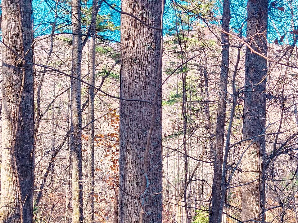 1st image of Lot 15 Mountain Air Road