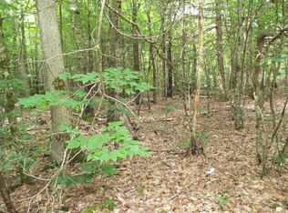 189 Torsten Lane ,, Davenport, NY 13750